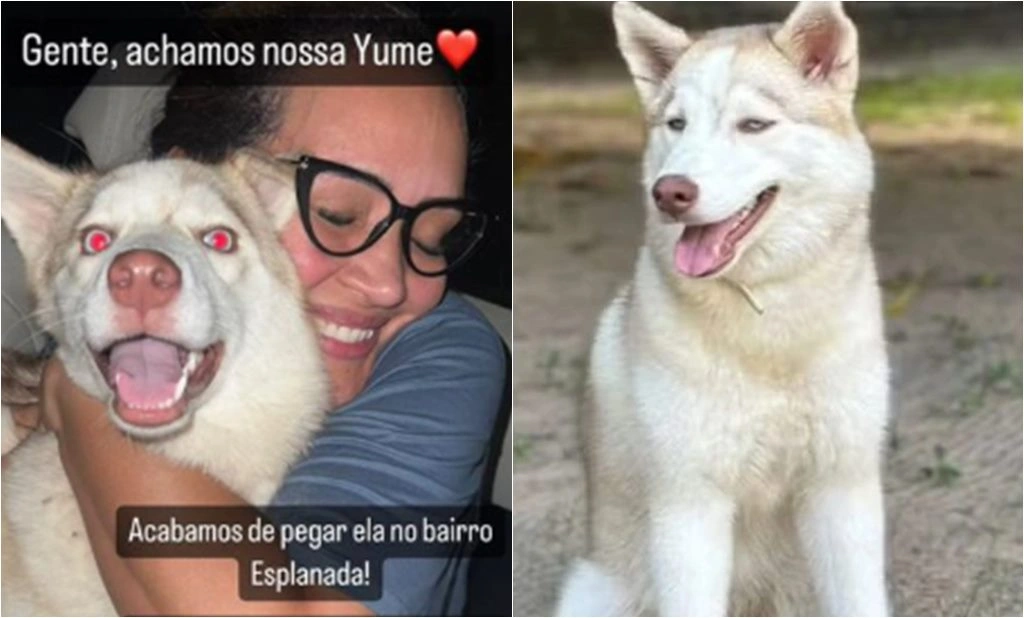 Cadela é encontrada na zona Sul de Teresina