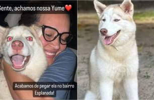 Cadela é encontrada na zona Sul de Teresina (Foto: Reprodução) Cadela é encontrada na zona Sul de Teresina (Foto: Reprodução)