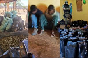 Polícia Militar localiza roça de maconha e prende sete pessoas em cidade do Piauí (Foto: Reprodução) Polícia Militar localiza roça de maconha e prende sete pessoas em cidade do Piauí (Foto: Reprodução)