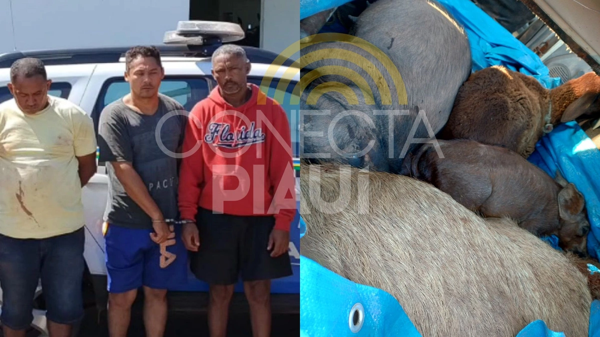 Polícia prende trio envolvido em roubo de animais na saída de União
