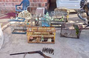 Semarh e Polícia Civil deflagram operação contra caça ilegal de animais silvestres (Foto: Divulgação) Semarh e Polícia Civil deflagram operação contra caça ilegal de animais silvestres (Foto: Divulgação)