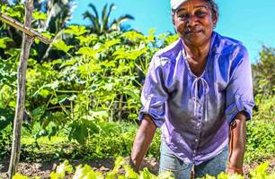 Agricultura Familiar (Foto: Reprodução/ SAF) Agricultura Familiar (Foto: Reprodução/ SAF)