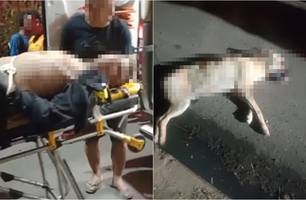 Altos: suspeito de assalto morre após bater em cachorro enquanto fugia da polícia (Foto: Reprodução) Altos: suspeito de assalto morre após bater em cachorro enquanto fugia da polícia (Foto: Reprodução)