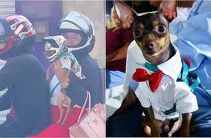 Ceará: cachorro é flagrado andando de moto de camisa e capacete (Foto: Reprodução)