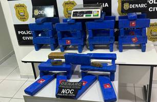 Droga apreendida pelo Denarc (Foto: Tiago Moura/ Conecta Piauí)