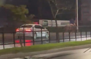 Homem é preso após fugir em um cavalo e colidir com um carro (Foto: Reprodução)