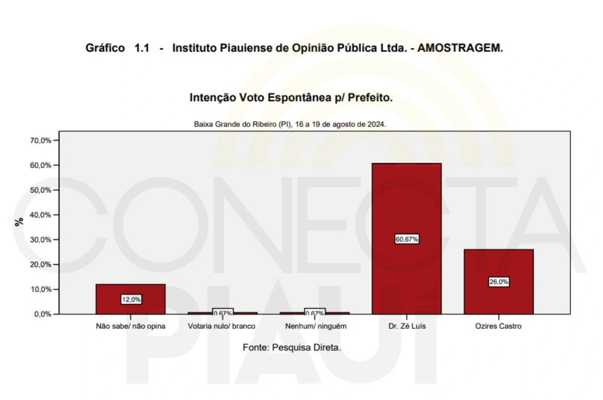 Pesquisa Espontânea