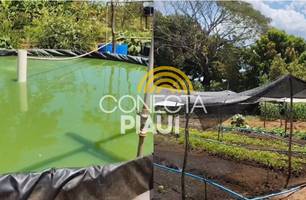 ‘Quintais Ecológicos’ levam alimentação saudável e renda a comunidades em Parnaíba (Foto: Conecta Piauí) ‘Quintais Ecológicos’ levam alimentação saudável e renda a comunidades em Parnaíba (Foto: Conecta Piauí)