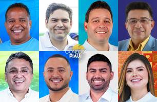 Nova pesquisa Datamax revela intenções de voto para vereador em Teresina (Foto: Reprodução) Nova pesquisa Datamax revela intenções de voto para vereador em Teresina (Foto: Reprodução)