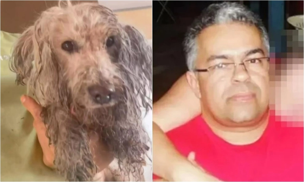 Bombeiros resgatam cachorro que gerente da Caixa morreu tentando salvar em Picos