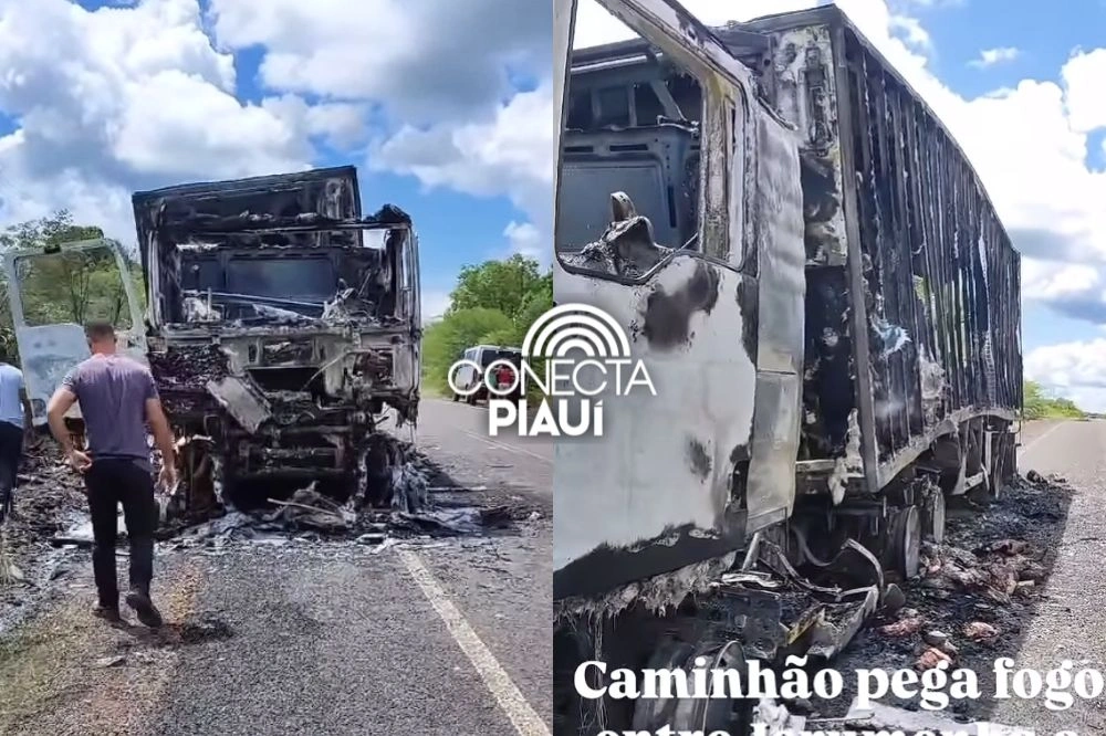Caminhão pega fogo na PI-218 entre Jerumenha e Guadalupe