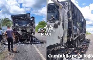 Caminhão pega fogo na PI-218 entre Jerumenha e Guadalupe (Foto: Reprodução)