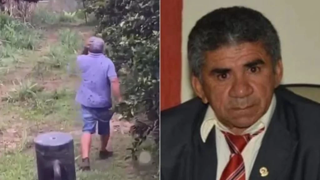 Ex-vereador de Tianguá, no Ceará, morre após ataque de abelhas