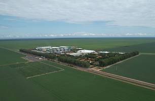 Fazenda Progresso consolida sucesso durante Dia de Campo Progresso Sementes 2025 (Foto: Conecta Piauí) Fazenda Progresso consolida sucesso durante Dia de Campo Progresso Sementes 2025 (Foto: Conecta Piauí)