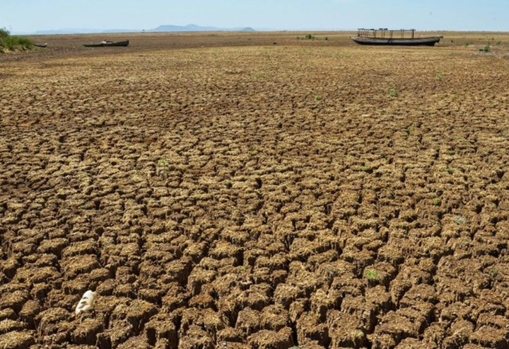 Governo decreta situação de emergência devido seca em 82 municípios no Piauí