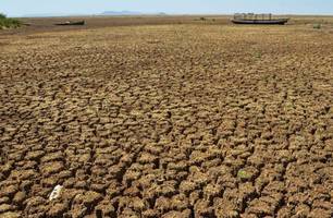 Governo decreta situação de emergência devido seca em 82 municípios no Piauí (Foto: Reprodução)