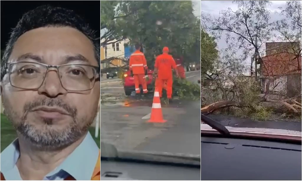 Linha de instabilidade e ventos de 75 km/h provocaram queda de árvores em Teresina