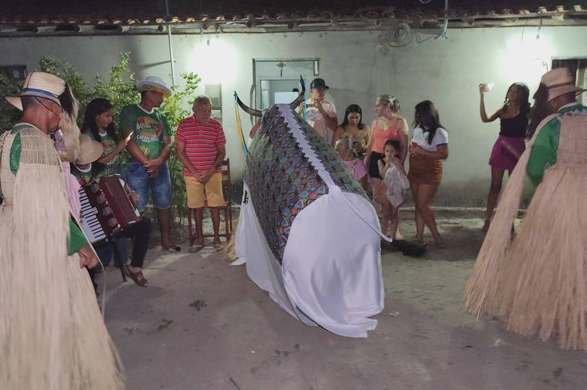 Reisado de Boa Hora