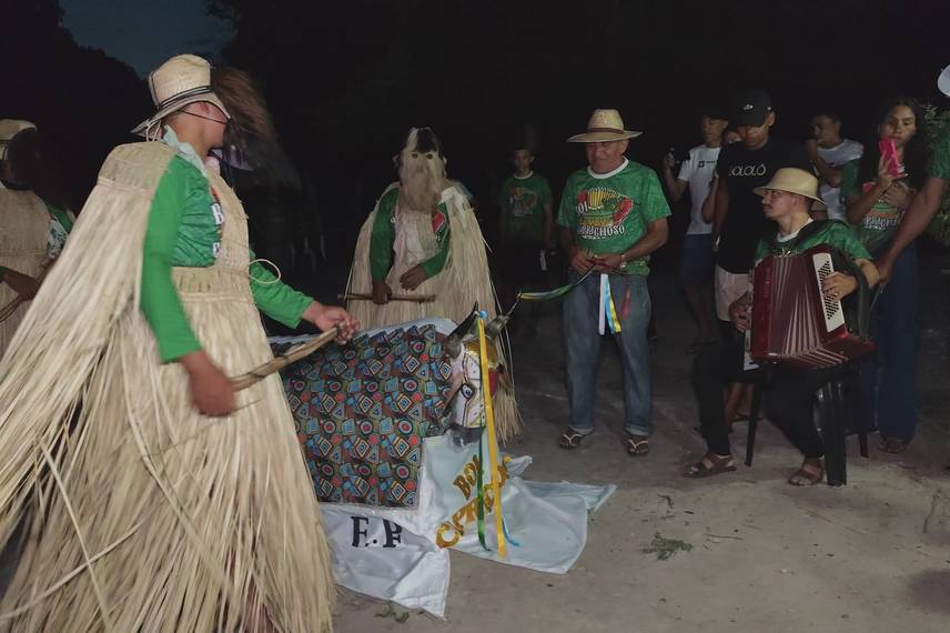 Reisado de Boa Hora