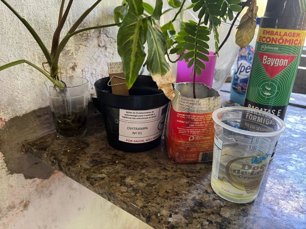 Sesapi instalará dispositivos para monitorar o Aedes em 10 cidades do Piauí