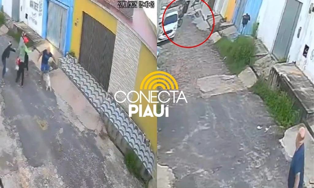 Trio de criminosos é flagrado assaltando homem acompanhado de cachorro em Timon