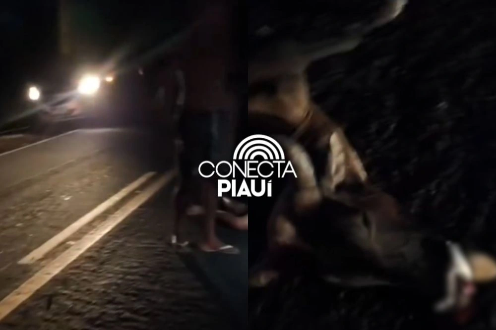 Homem sofre acidente ao colidir moto em vaca na PI-113 em Cabeceiras