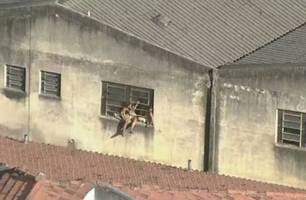 Incêndio atinge fábrica de fantasias de carnaval no RJ (Foto: Reprodução)