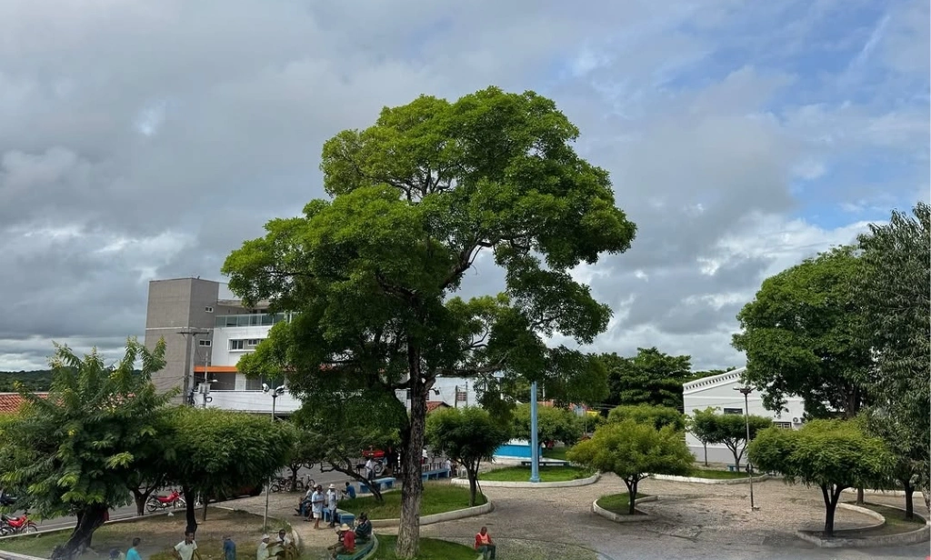 Prefeito de Alto Longá anuncia início da elaboração do projeto de reforma de abrigo municipal