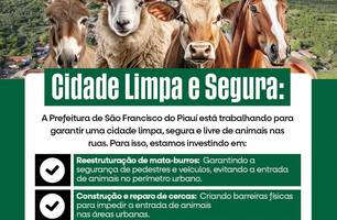 São Francisco do Piauí reforça ações para manter a cidade limpa e segura (Foto: Reprodução - Redes Sociais) São Francisco do Piauí reforça ações para manter a cidade limpa e segura (Foto: Reprodução - Redes Sociais)