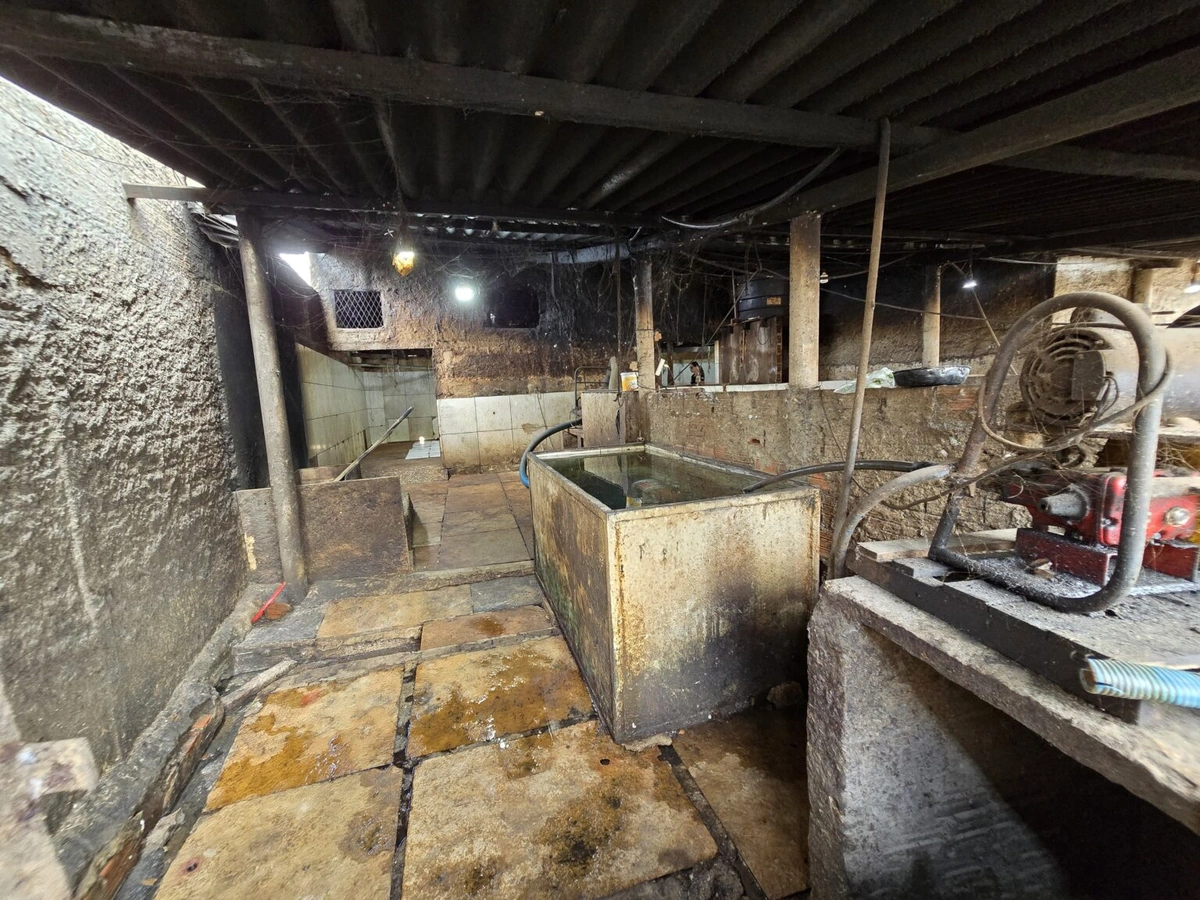 Abatedouro clandestino em Teresina é alvo de operação