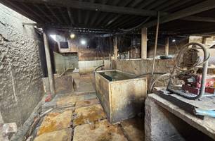 Abatedouro clandestino em Teresina é alvo de operação (Foto: Reprodução)