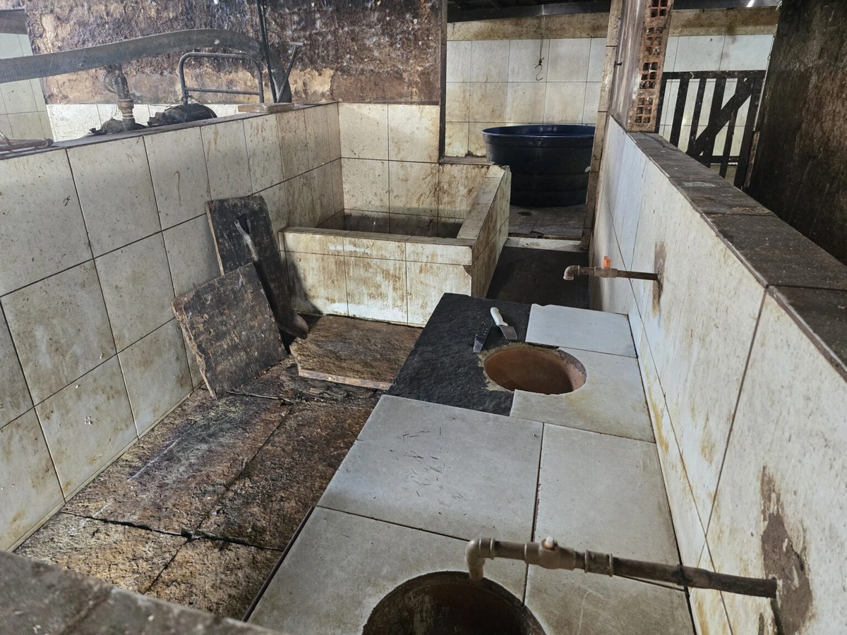 Abatedouro clandestino em Teresina é alvo de operação