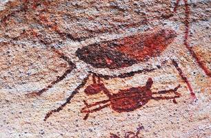 Acervo arqueológico de São Raimundo Nonato (Foto: Reprodução)