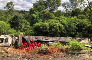 Carreta com cerveja tomba na BR-230 em São João da Varjota; motorista fica ferido (Foto: Reprodução)
