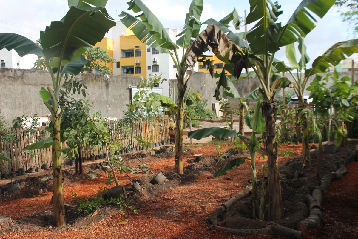 CASACOR Piauí 2025 homenageia Tereza Melo na segunda edição da Mostra