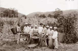 Ceará celebra pioneirismo na abolição da escravidão com feriado da Data Magna (Foto: Arquivo Nacional) Ceará celebra pioneirismo na abolição da escravidão com feriado da Data Magna (Foto: Arquivo Nacional)