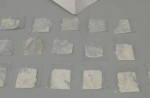 Cocaína levada para escola por menina de quatro anos (Foto: Reprodução)