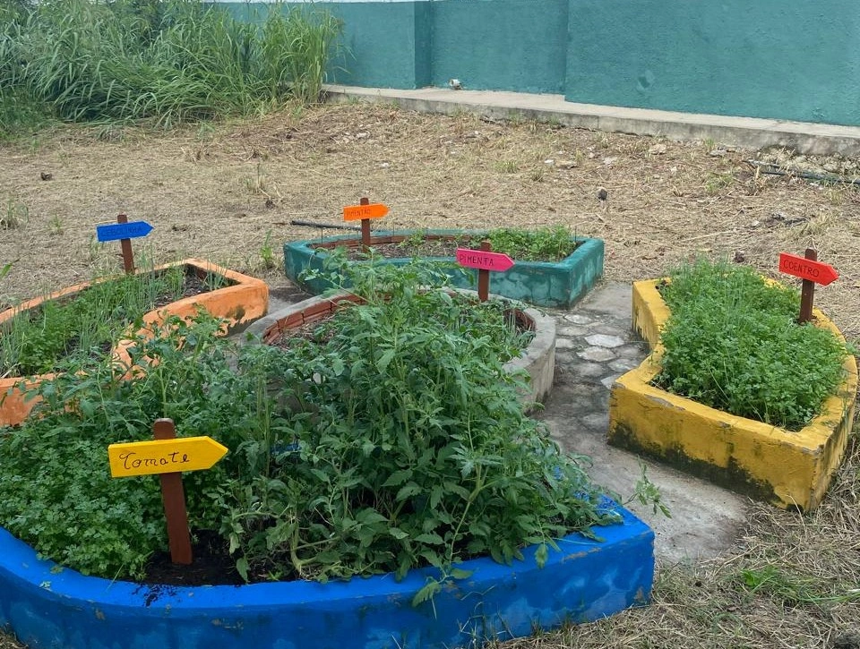 Estudantes Seduc usam Ciência para transformar comunidades