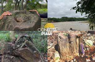 Floresta Fóssil de Teresina (Foto: Conecta Piauí) Floresta Fóssil de Teresina (Foto: Conecta Piauí)