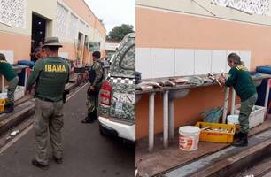 IBAMA-PI intensifica fiscalização com a Operação Piracema para coibir pesca ilegal (Foto: Reprodução) IBAMA-PI intensifica fiscalização com a Operação Piracema para coibir pesca ilegal (Foto: Reprodução)