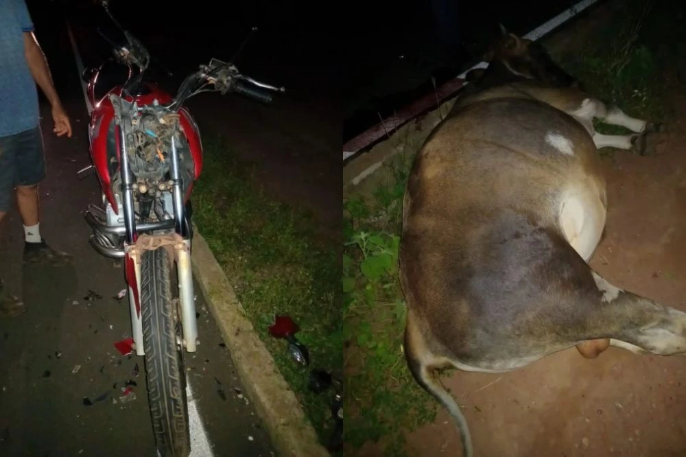Motociclista morre após colidir com boi em estrada no interior do Piauí