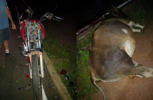 Motociclista morre após colidir com boi em estrada no interior do Piauí (Foto: Reprodução)