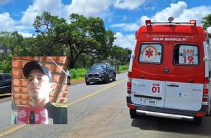 Motociclista morre após perder o controle e sair da pista na BR-343, no Piauí (Foto: Reprodução)