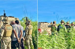 Operação no Piauí e Bahia destrói plantio de maconha de 3 hectares em Sebastião (Foto: Reprodução) Operação no Piauí e Bahia destrói plantio de maconha de 3 hectares em Sebastião (Foto: Reprodução)