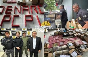 Pacto pela ordem: Denarc incinera quase 1 tonelada de entorpecente em Teresina (Foto: Conecta Piauí) Pacto pela ordem: Denarc incinera quase 1 tonelada de entorpecente em Teresina (Foto: Conecta Piauí)