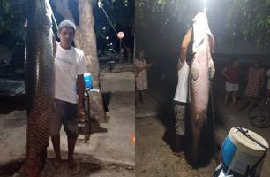 Pescador fisga pirarucu gigante no Rio Parnaíba na região de Uruçuí (Foto: Reprodução/Instagram)