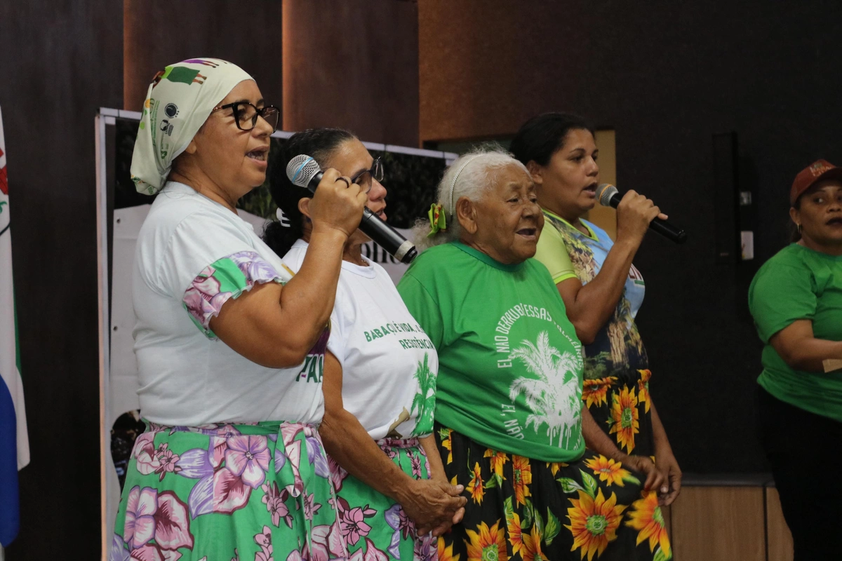 Quebradeiras de coco reivindicam proteção e acesso aos babaçuais no Piauí