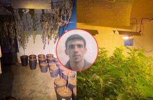 Saiba quem é o advogado preso com estufas de maconha na zona rural de Teresina (Foto: Conecta Piauí) Saiba quem é o advogado preso com estufas de maconha na zona rural de Teresina (Foto: Conecta Piauí)
