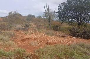 Semarh identifica seca verde em 127 municípios piauienses (Foto: Ascom/Semarh) Semarh identifica seca verde em 127 municípios piauienses (Foto: Ascom/Semarh)