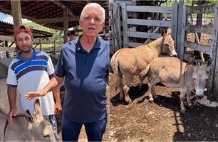 Themístocles anuncia gravidez de jumenta anã e diz que vai ter casamento (Foto: Reprodução)